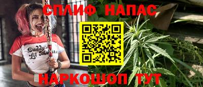 стафф Моздок