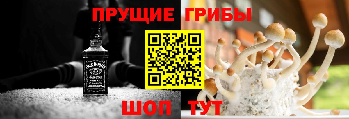 Усолье-Сибирское  магазин продажи   Вход с VPN  Псилоцибиновые грибы мухоморы 